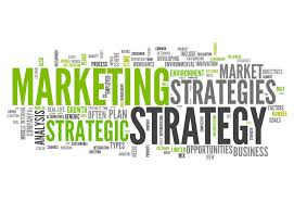 Marketing Strategy Evaluation
